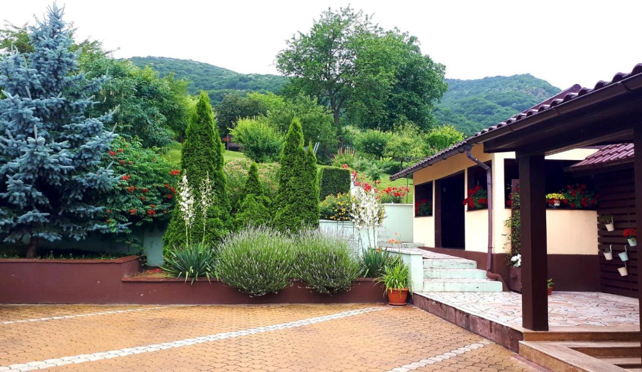 فندق Silva House ديفا المظهر الخارجي الصورة