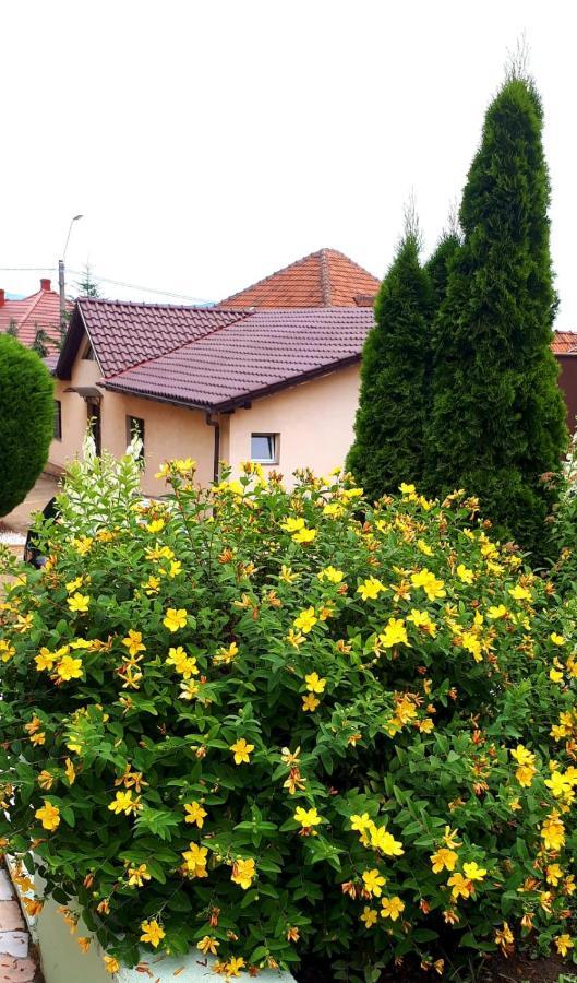 فندق Silva House ديفا المظهر الخارجي الصورة